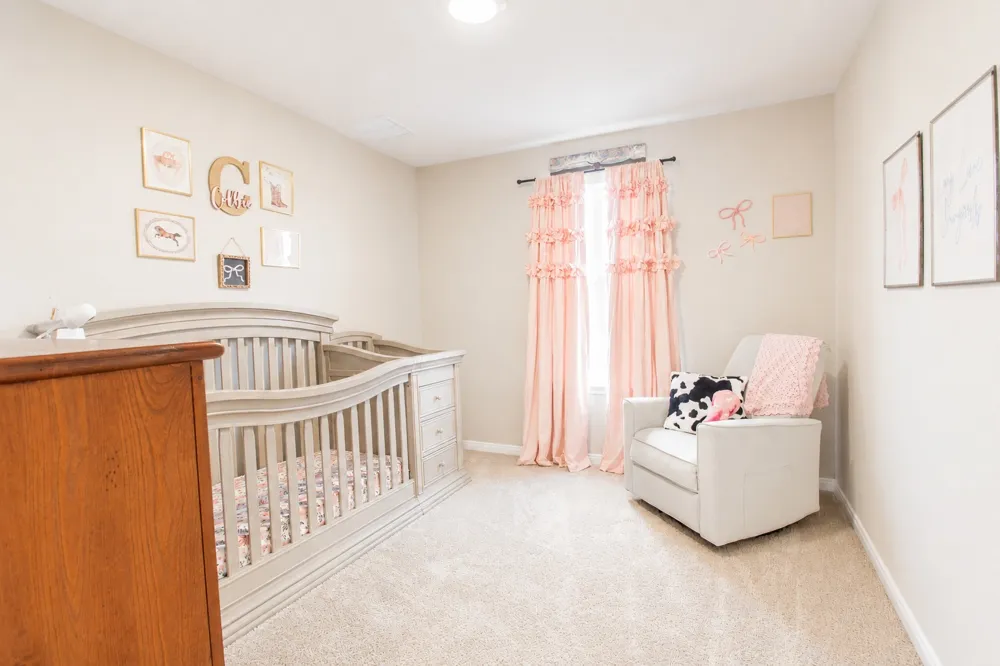 484 Spider Lily Drive Kyle, TX 78640