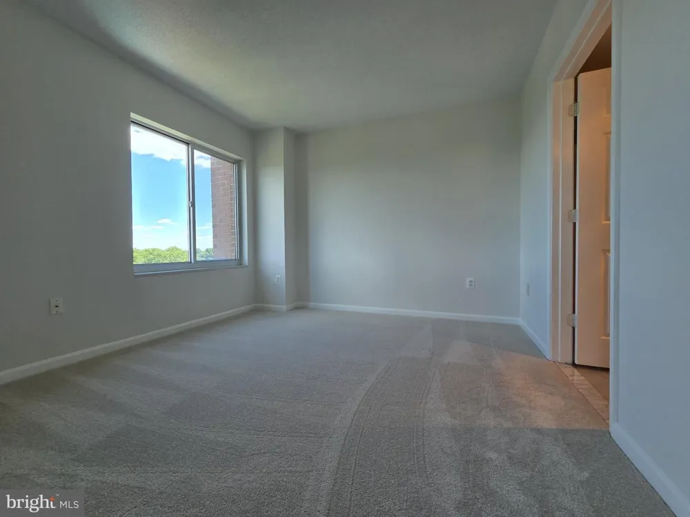 3101 HAMPTON DRIVE #1011 Alexandria, VA 22302