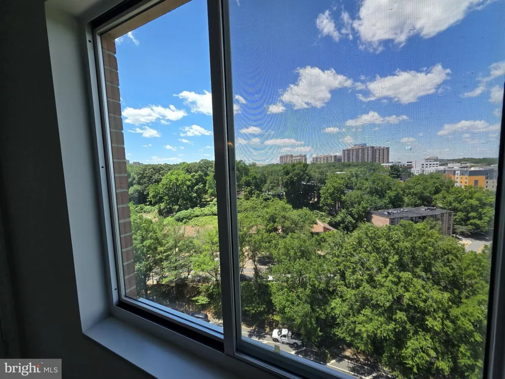 3101 HAMPTON DRIVE #1011 Alexandria, VA 22302