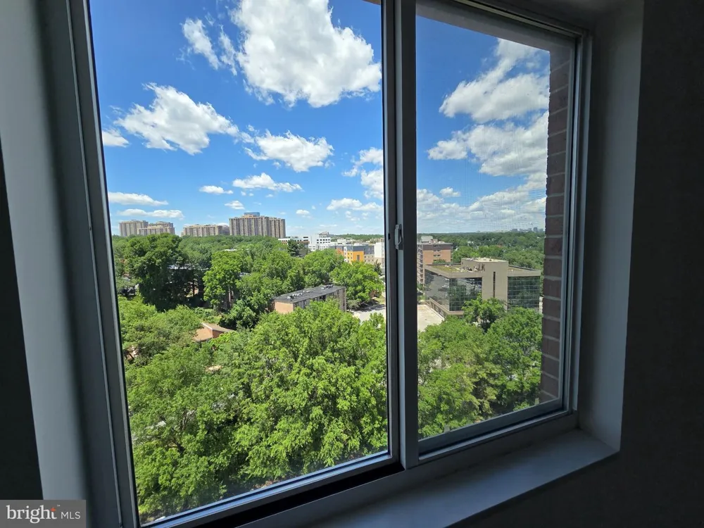 3101 HAMPTON DRIVE #1011 Alexandria, VA 22302