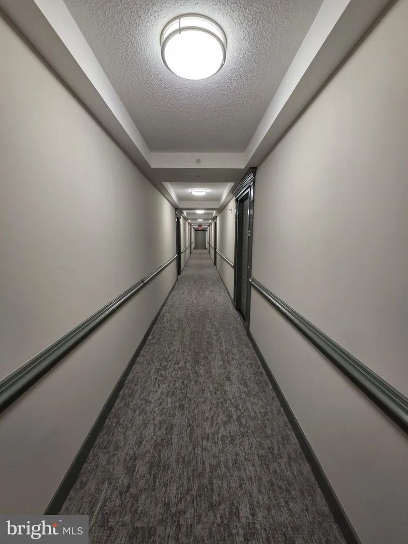 3101 HAMPTON DRIVE #1011 Alexandria, VA 22302