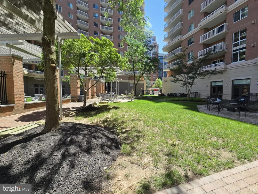 3101 HAMPTON DRIVE #1011 Alexandria, VA 22302