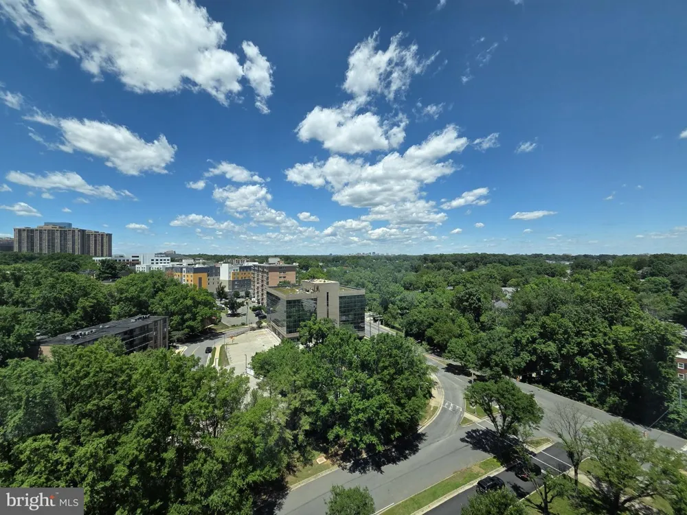 3101 HAMPTON DRIVE #1011 Alexandria, VA 22302