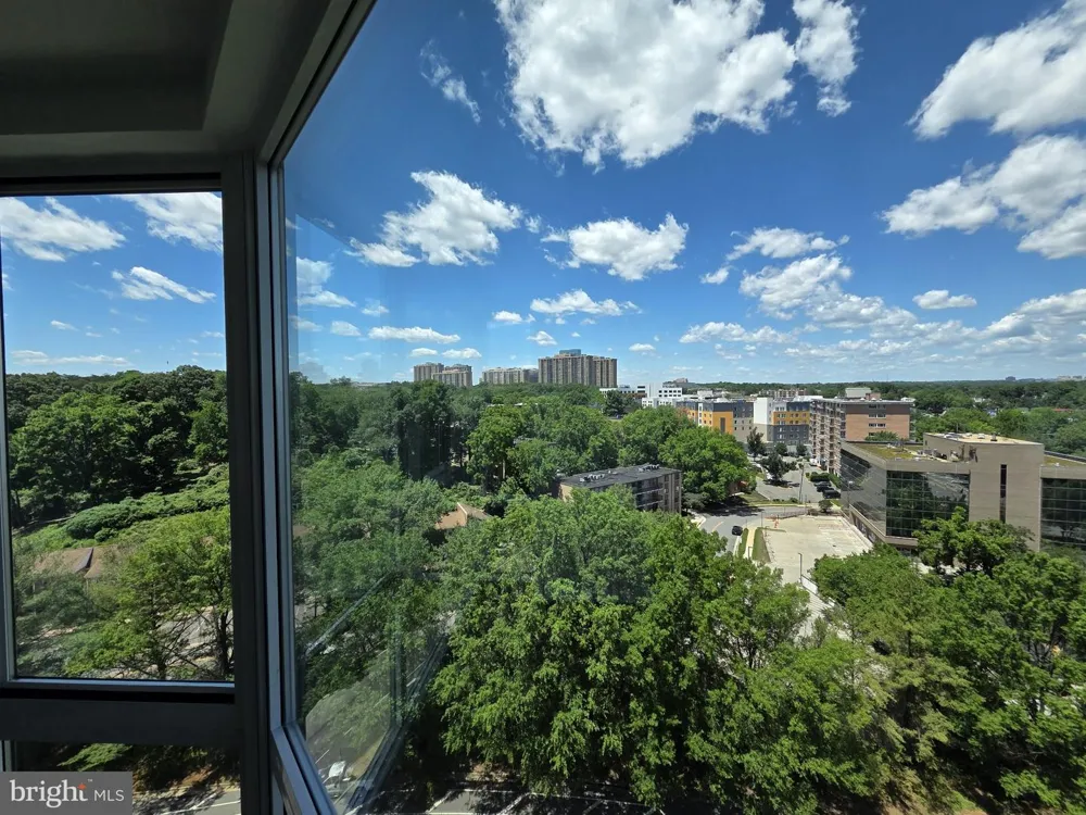 3101 HAMPTON DRIVE #1011 Alexandria, VA 22302