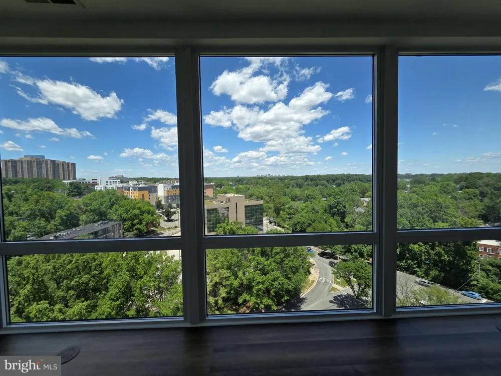 3101 HAMPTON DRIVE #1011 Alexandria, VA 22302