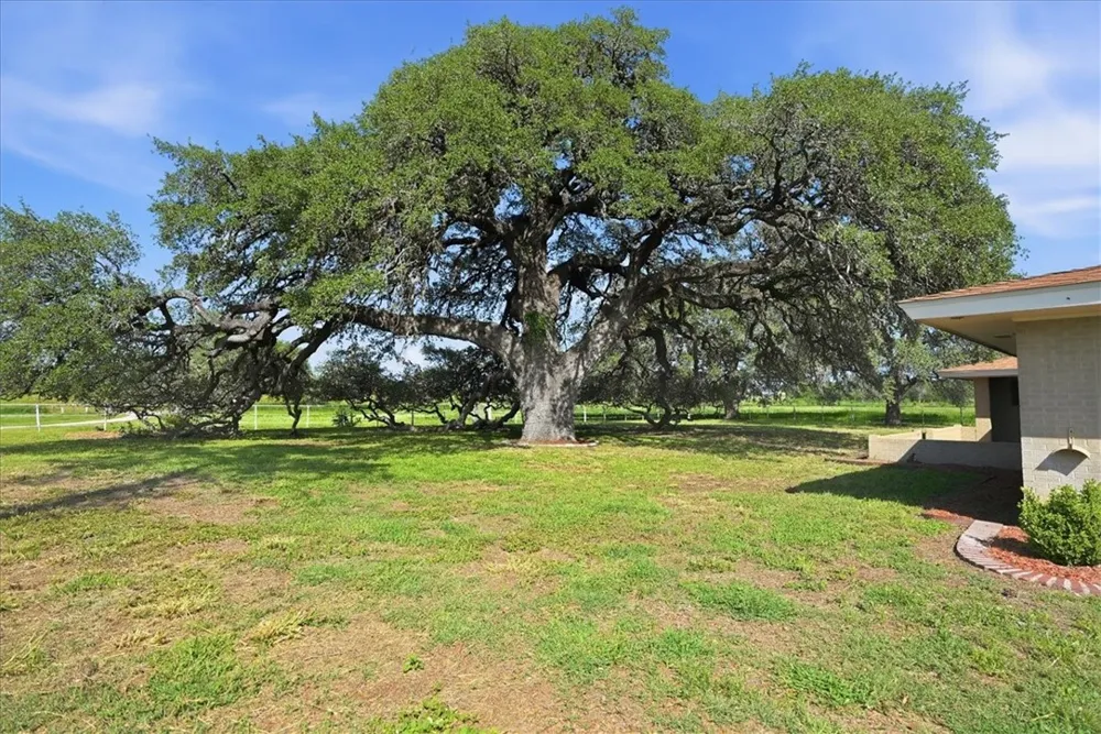 955 S Highway 37 George West, TX 78022
