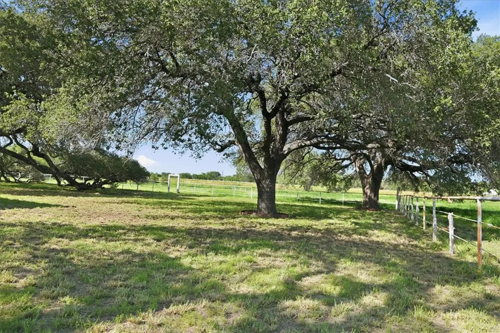 955 S Highway 37 George West, TX 78022