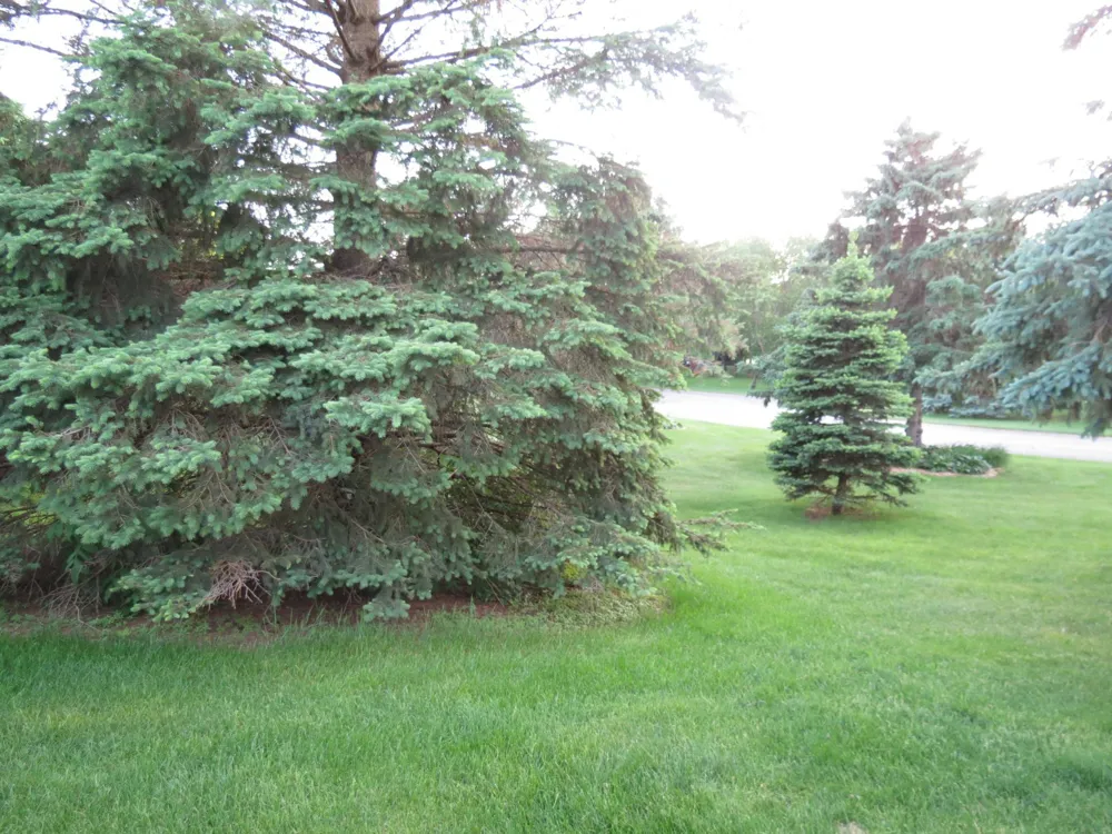 912 3rd Street #7 Cold Spring, MN 56320