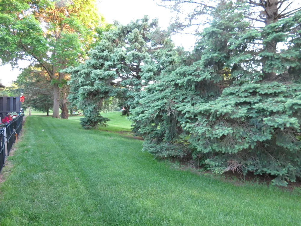 912 3rd Street #7 Cold Spring, MN 56320