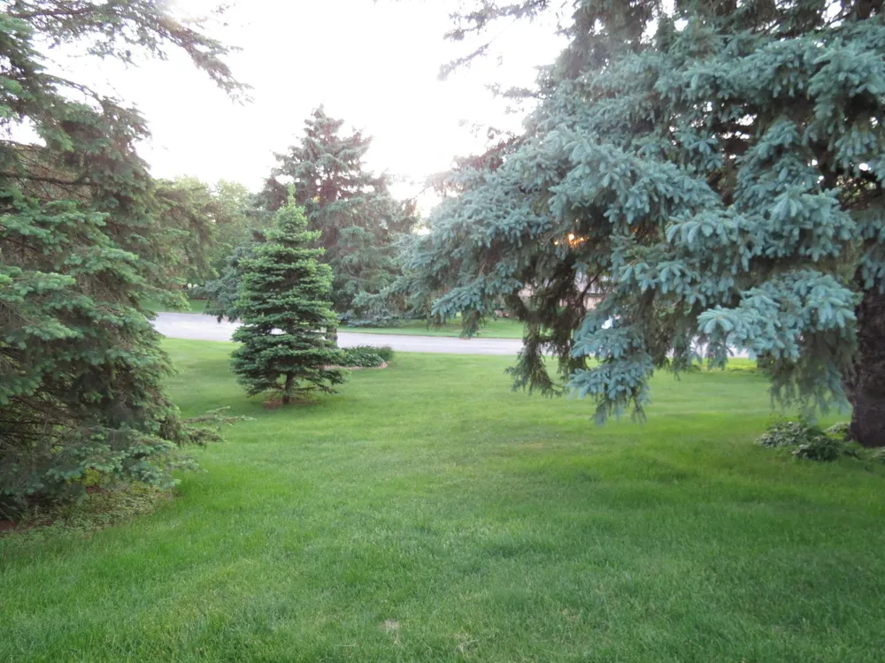 912 3rd Street #7 Cold Spring, MN 56320