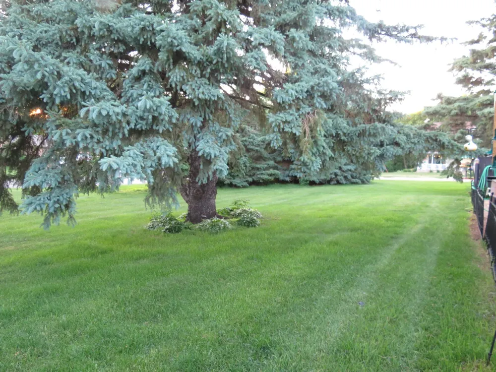 912 3rd Street #7 Cold Spring, MN 56320