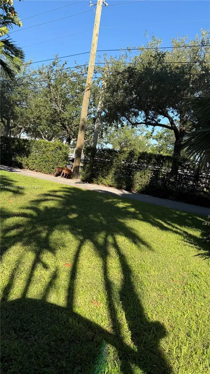 10115 Biscayne Blvd Miami Shores, FL 33138