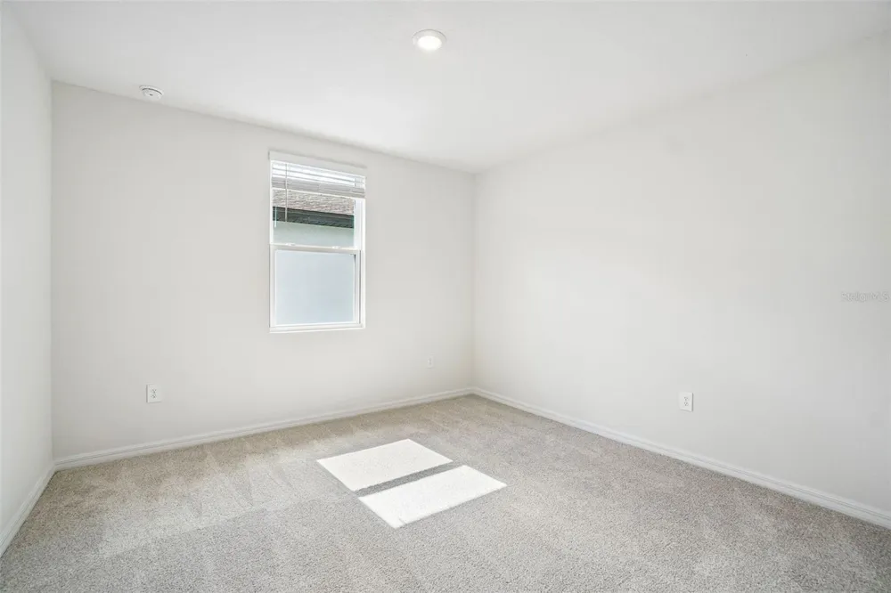 13684 UMBER FOREST STREET Hudson, FL 34669
