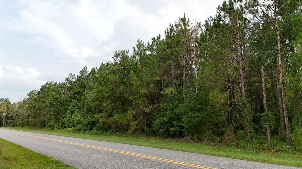 37625 COUNTY ROAD 44A Eustis, FL 32726