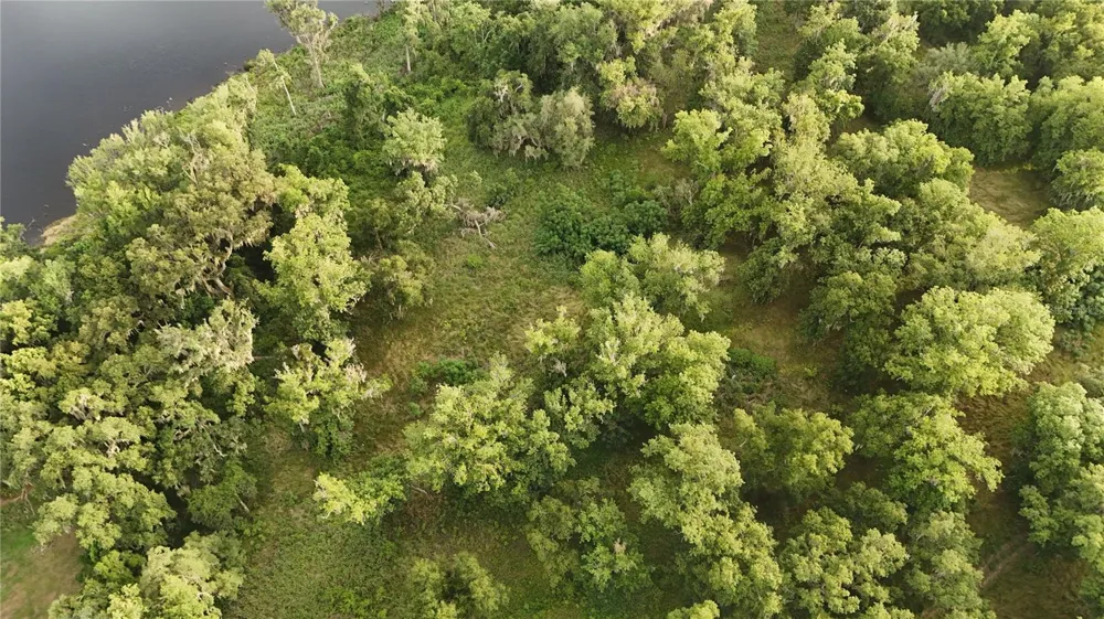 37625 COUNTY ROAD 44A Eustis, FL 32726