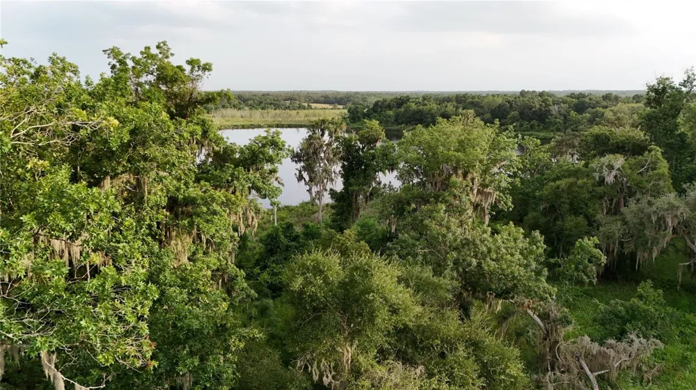 37625 COUNTY ROAD 44A Eustis, FL 32726