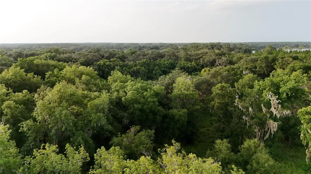 37625 COUNTY ROAD 44A Eustis, FL 32726
