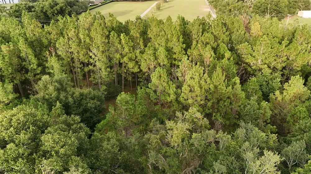 37625 COUNTY ROAD 44A Eustis, FL 32726