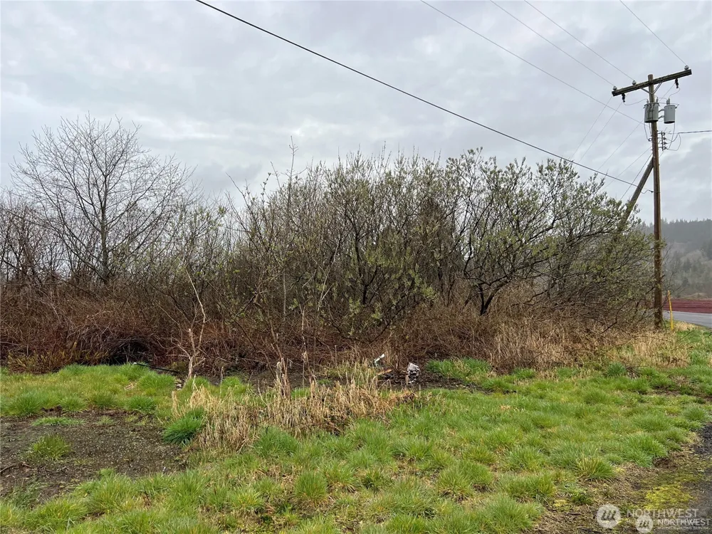2361 Evergreen Park Road Grayland, WA 98547