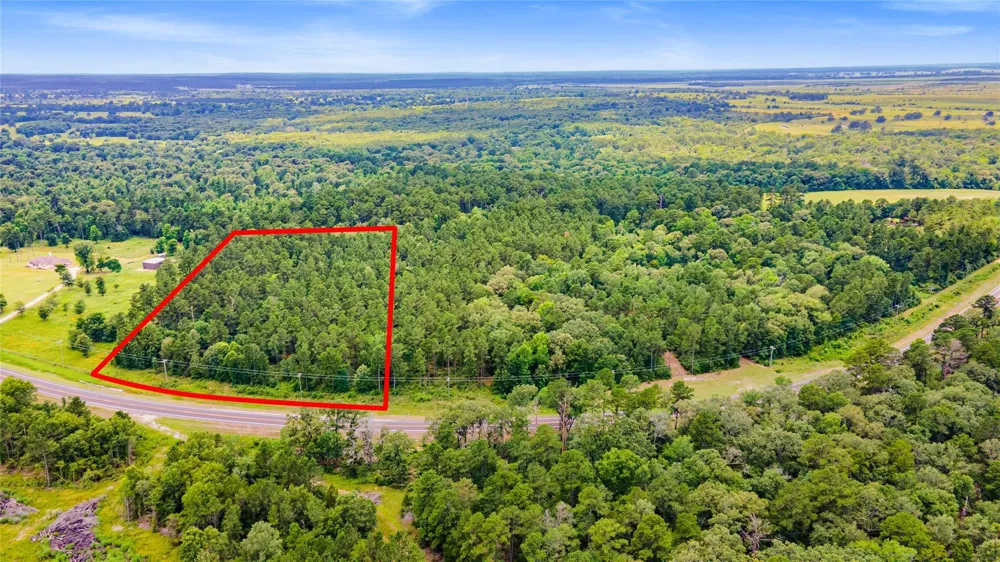 Fm 230 Trinity, TX 75862