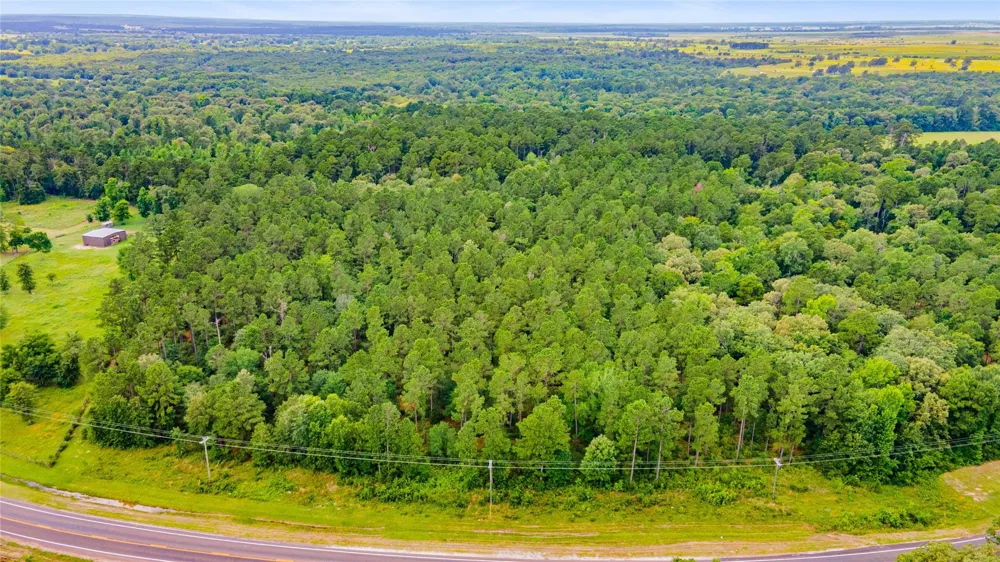 Fm 230 Trinity, TX 75862