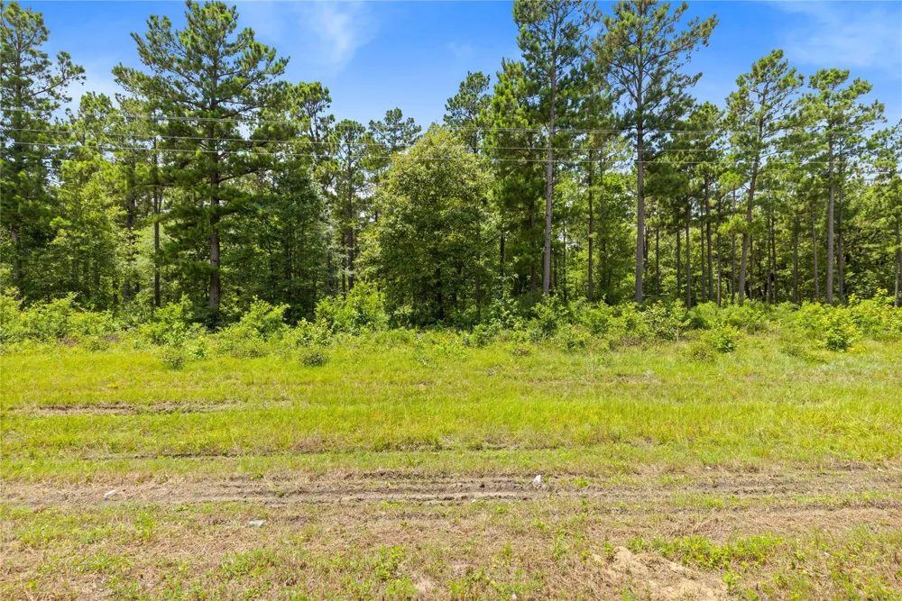 Fm 230 Trinity, TX 75862