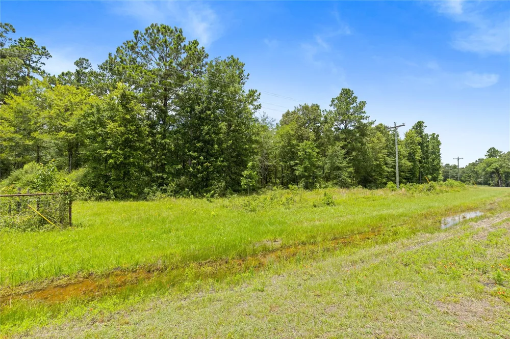 Fm 230 Trinity, TX 75862