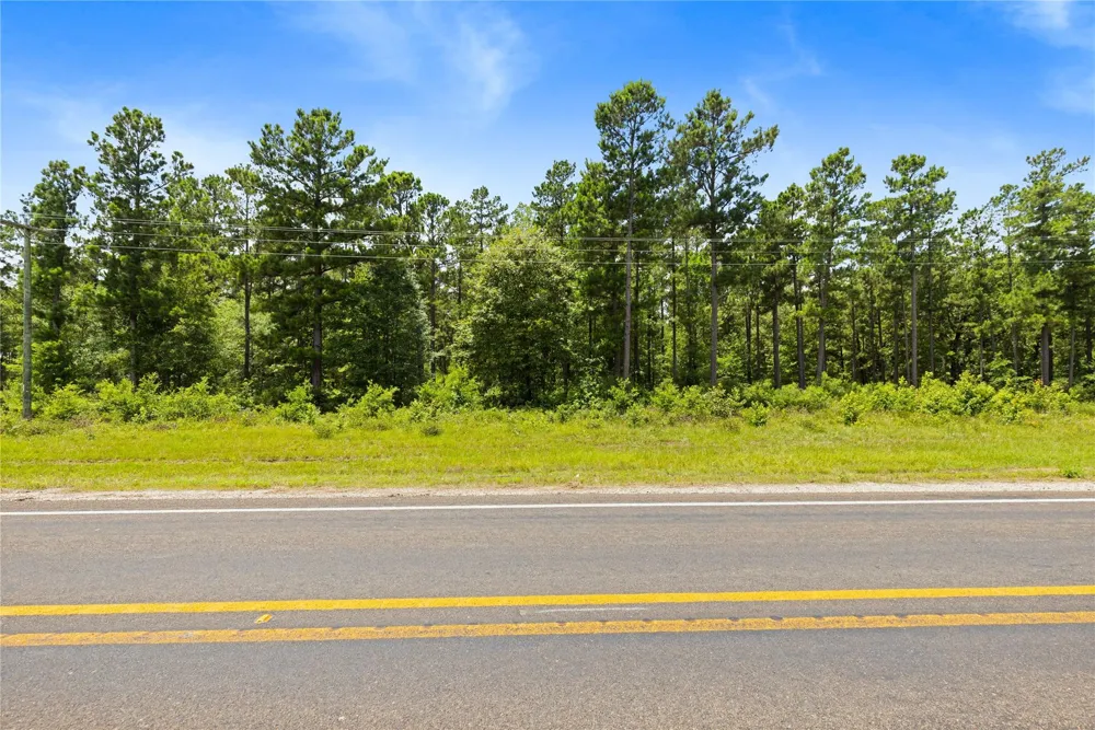 Fm 230 Trinity, TX 75862