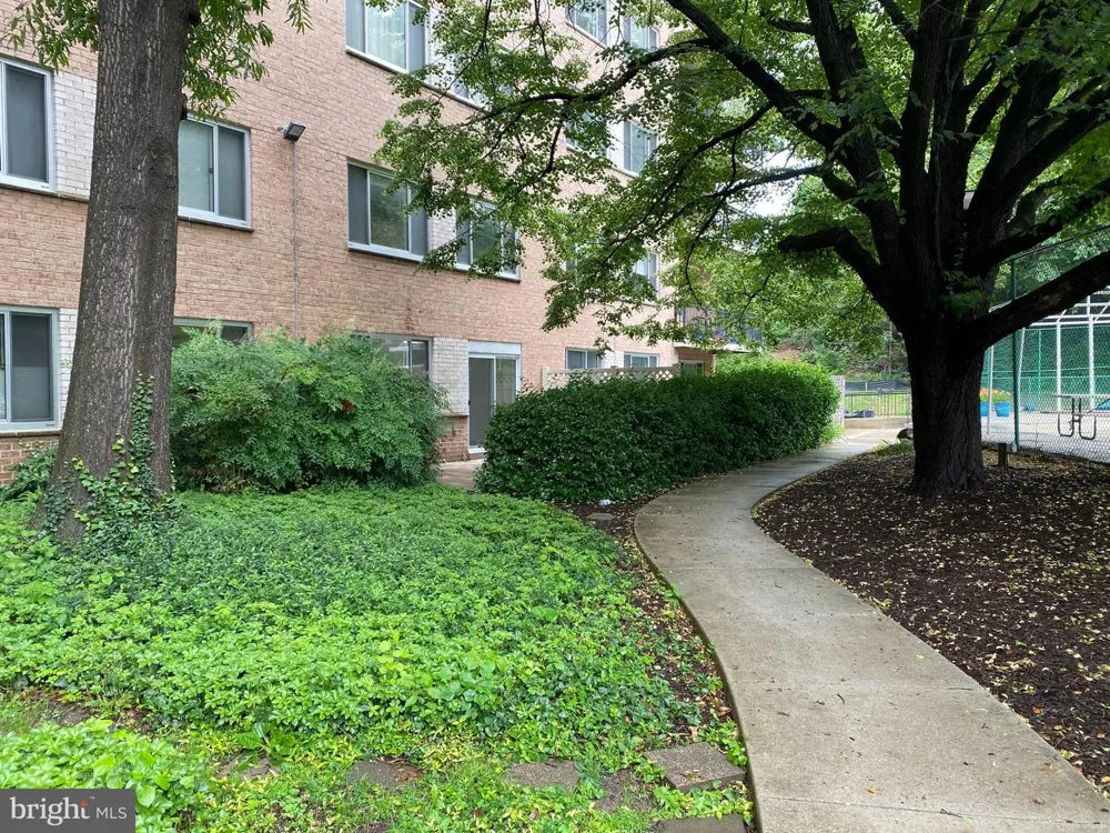 1900 LYTTONSVILLE ROAD #114 Silver Spring, MD 20910