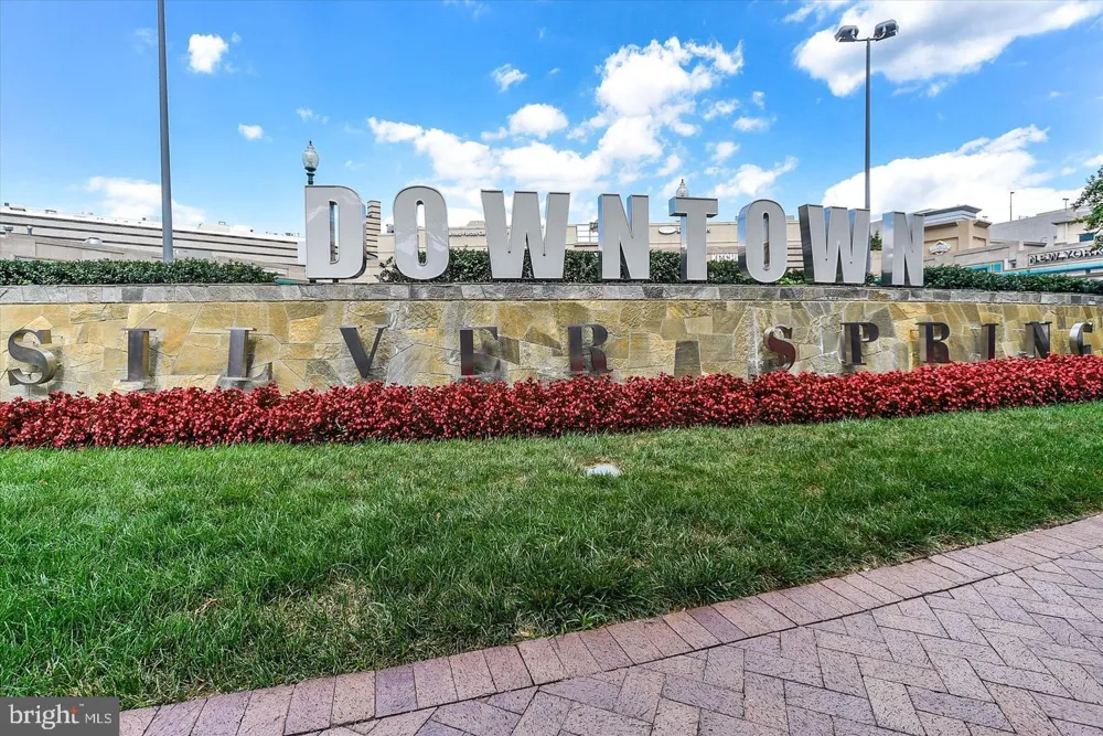 1900 LYTTONSVILLE ROAD #114 Silver Spring, MD 20910