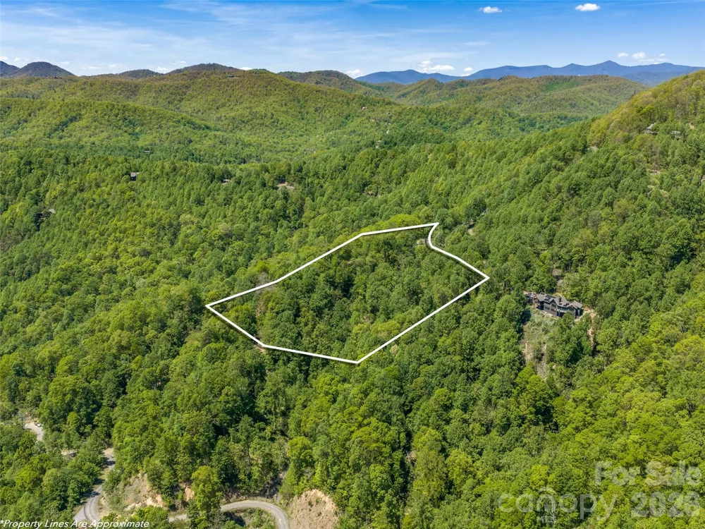 488 Warbler Lane Black Mountain, NC 28711