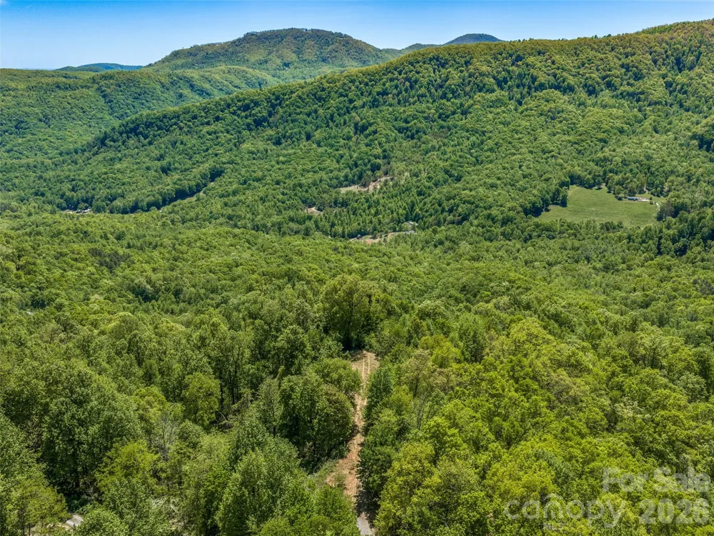488 Warbler Lane Black Mountain, NC 28711