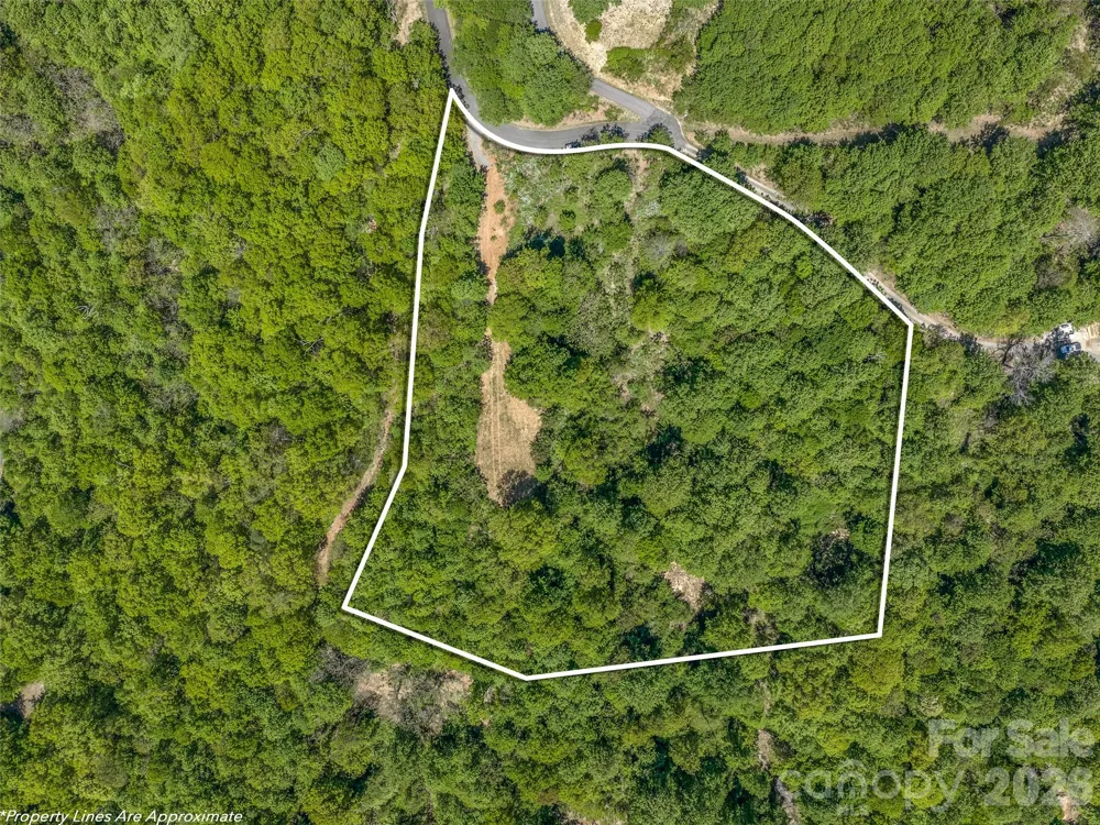 488 Warbler Lane Black Mountain, NC 28711