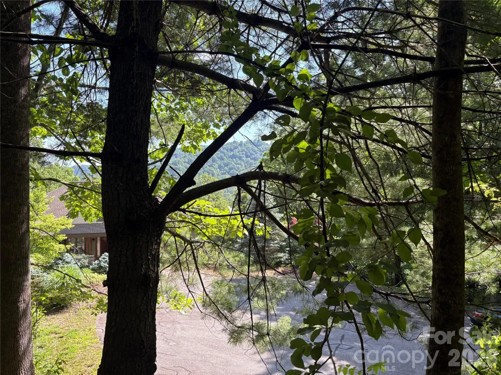 239 Stone Valley Way Hendersonville, NC 28792