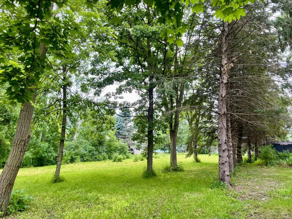 208 Skyline Drive Wabasha, MN 55981