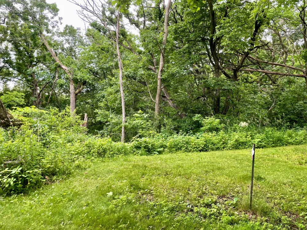 208 Skyline Drive Wabasha, MN 55981