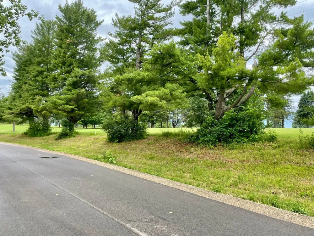 208 Skyline Drive Wabasha, MN 55981