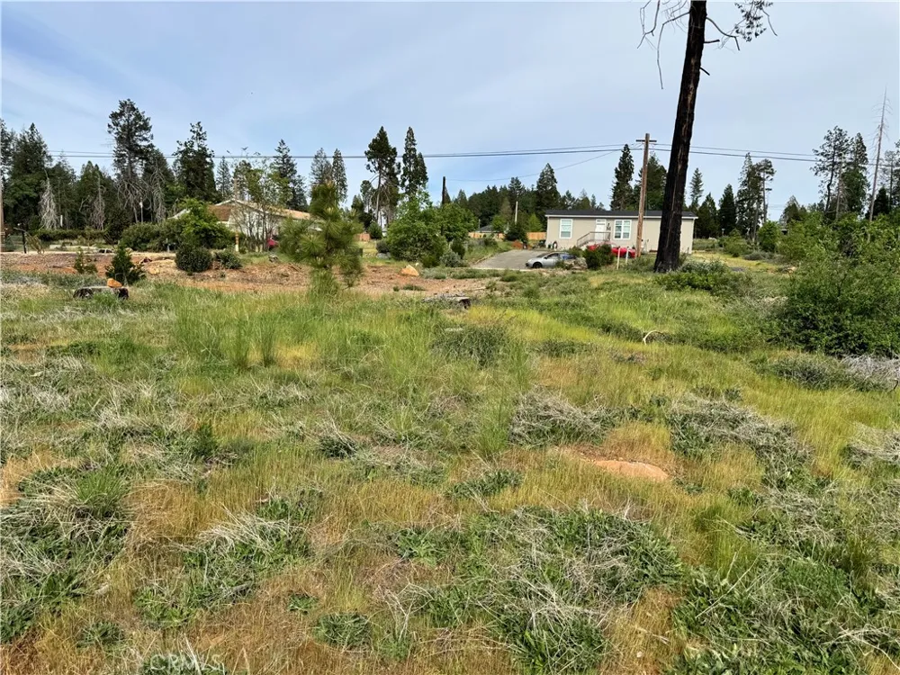 13947 Jarvis Magalia, CA 95954
