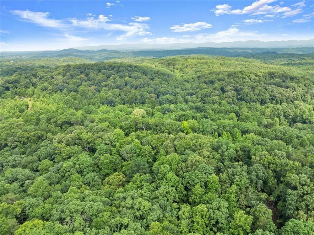 0 Long Branch Road Dahlonega, GA 30533