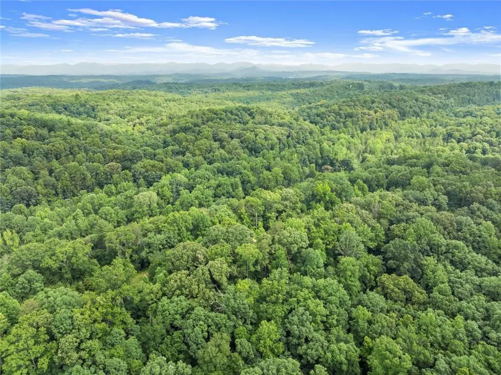 0 Long Branch Road Dahlonega, GA 30533