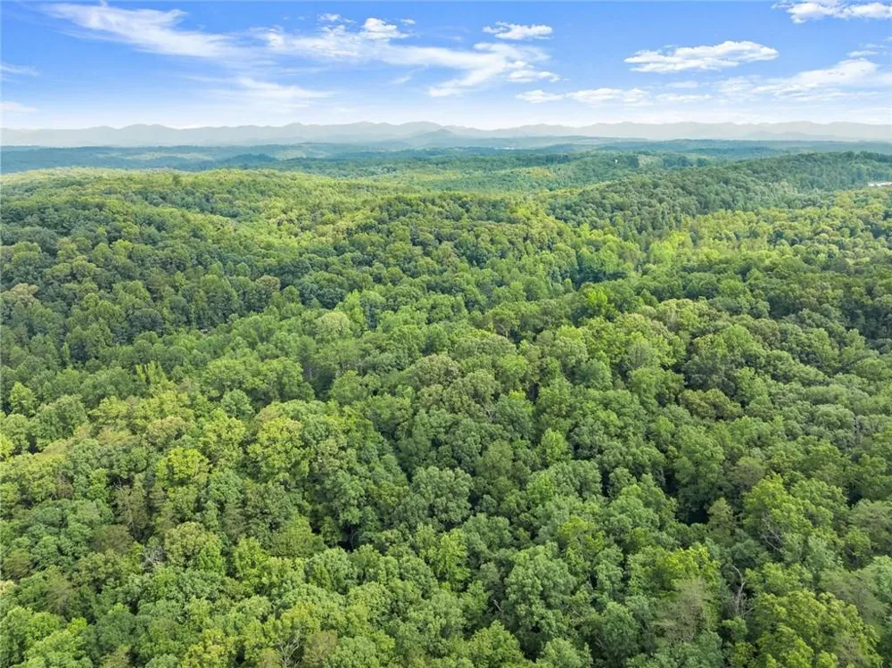0 Long Branch Road Dahlonega, GA 30533