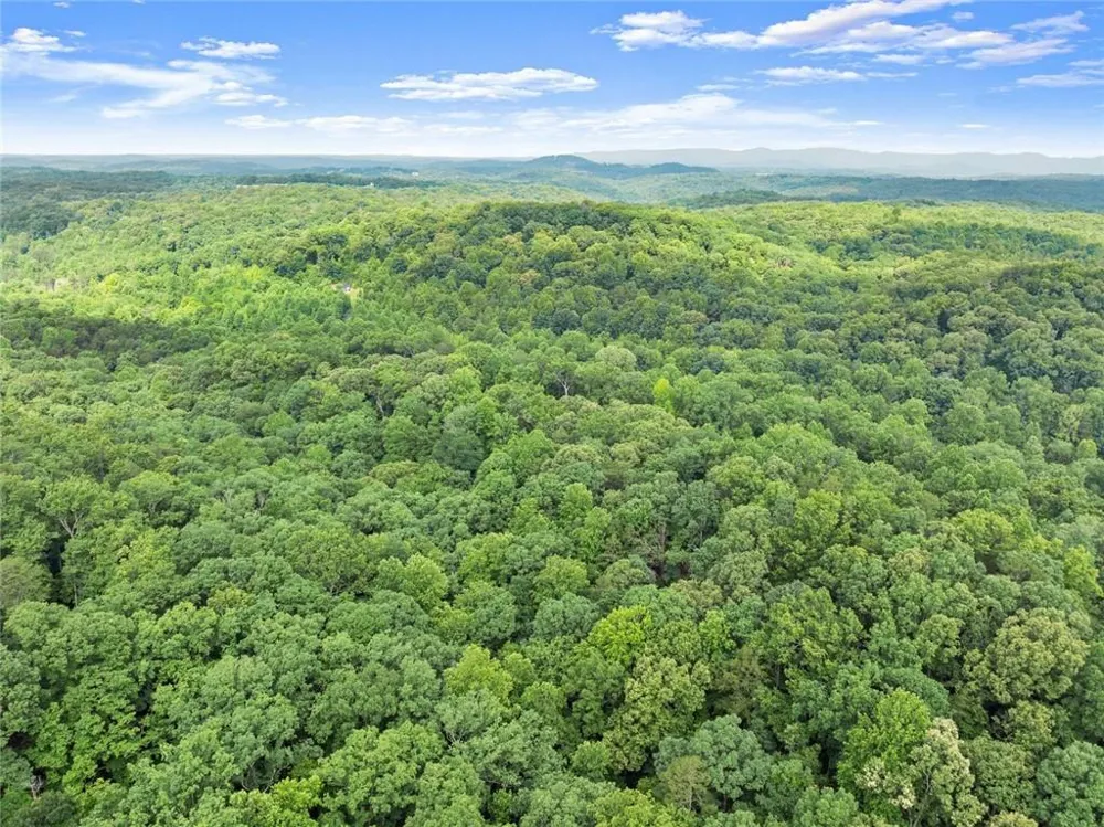 0 Long Branch Road Dahlonega, GA 30533