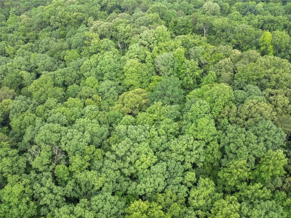 0 Long Branch Road Dahlonega, GA 30533