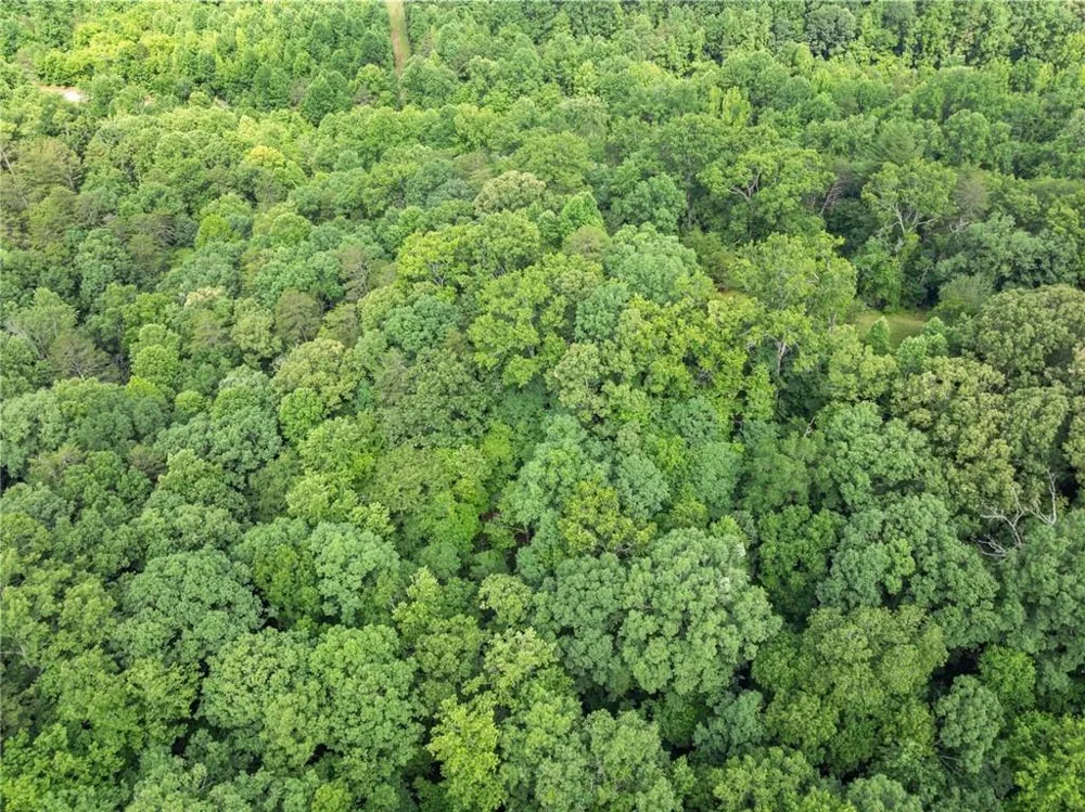 0 Long Branch Road Dahlonega, GA 30533