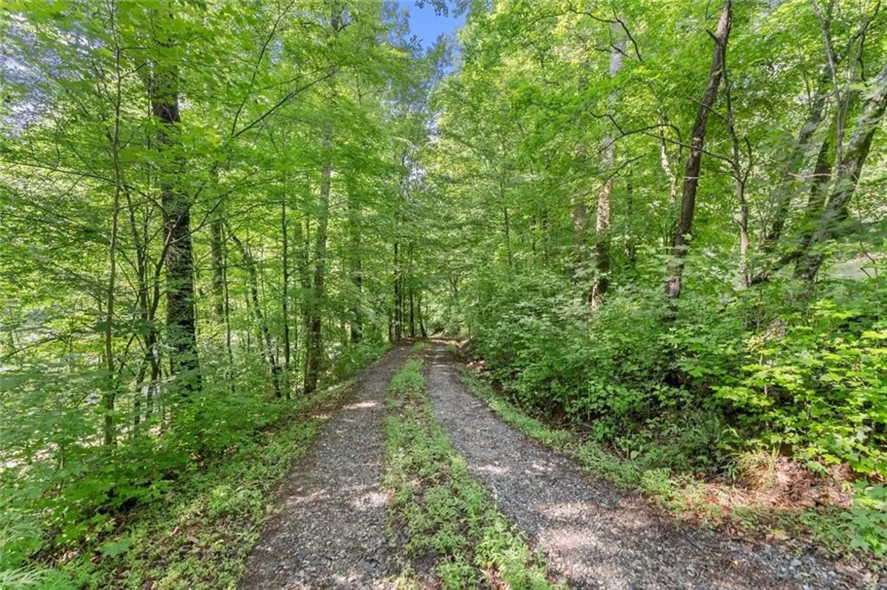 0 Long Branch Road Dahlonega, GA 30533