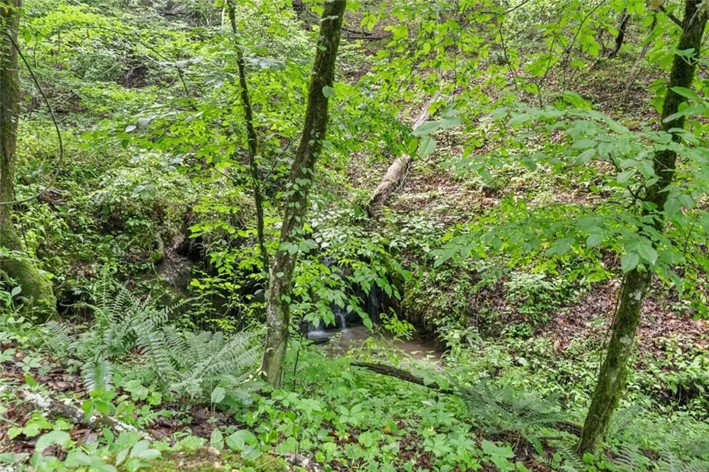 0 Long Branch Road Dahlonega, GA 30533