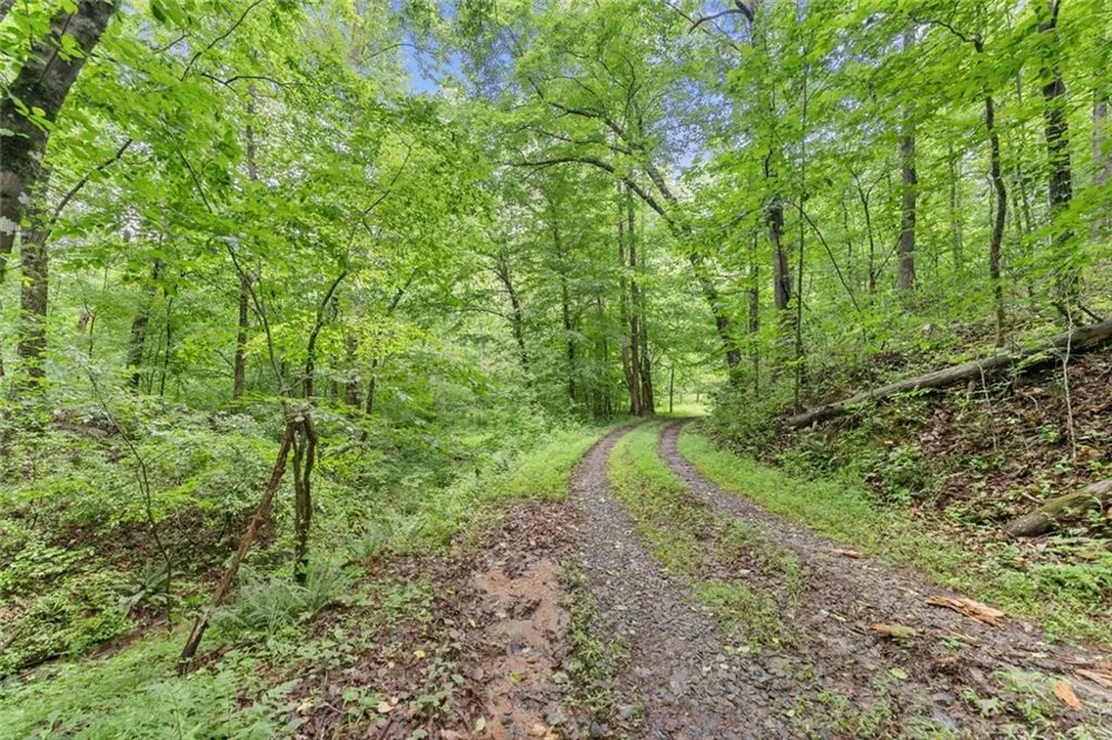 0 Long Branch Road Dahlonega, GA 30533