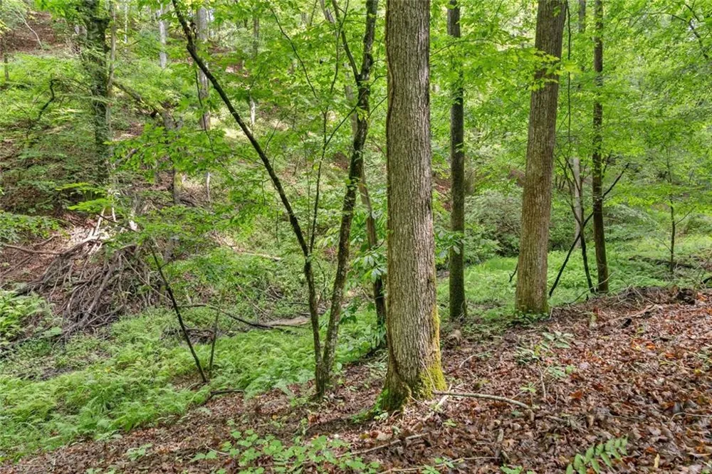 0 Long Branch Road Dahlonega, GA 30533