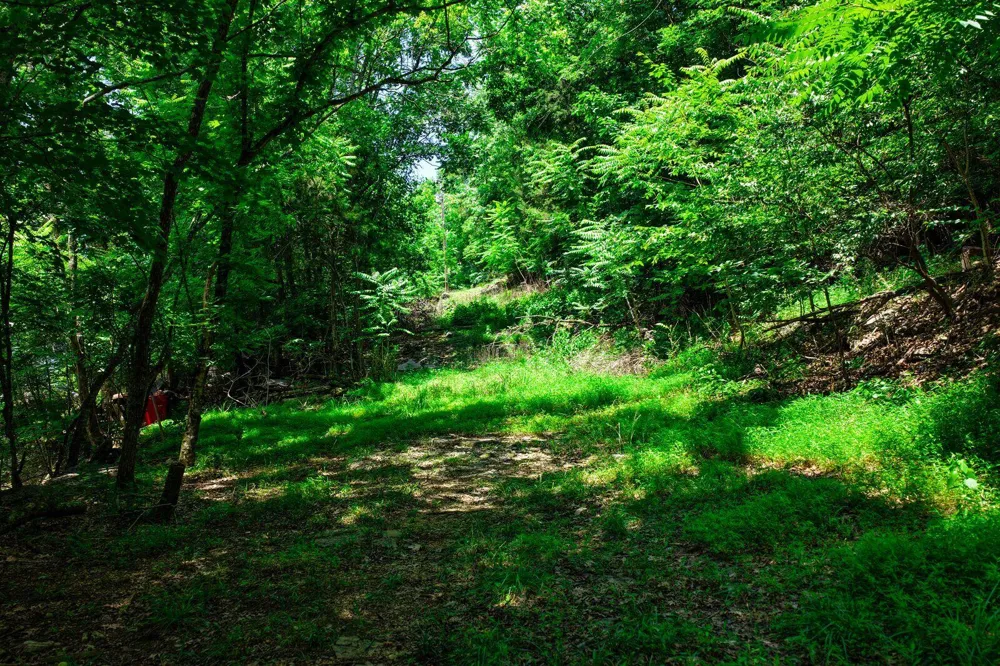 4825 Gann Store Road Hixson, TN 37343