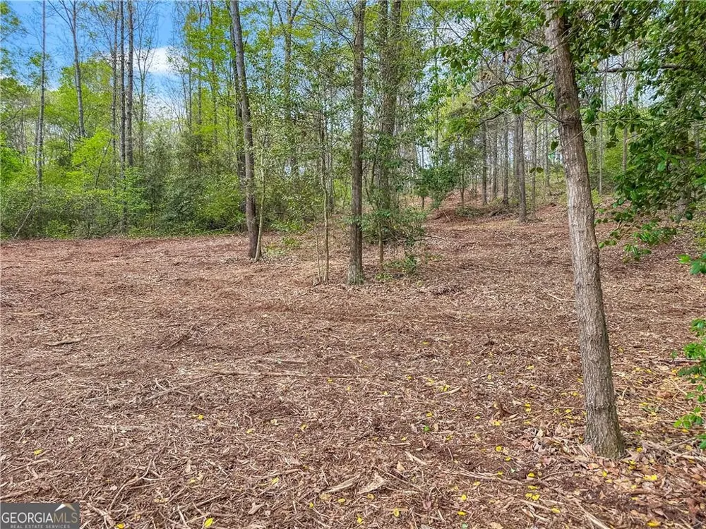 101 Broad River Road Eastanollee, GA 30538